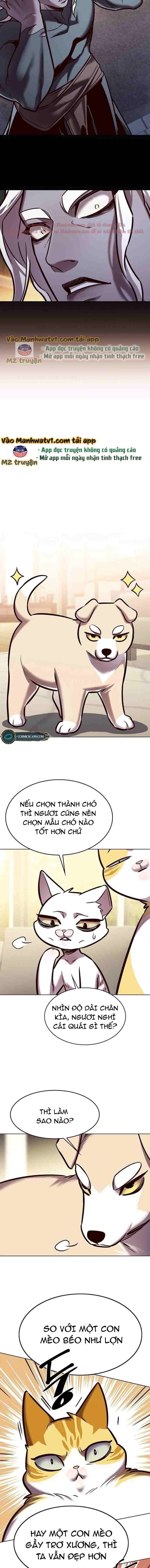Đọc truyện Hóa thân thành mèo (Bản Free) - Chap 279
